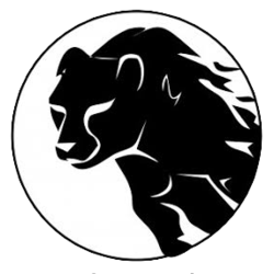 Smm Cheetah 30$ Bakiye