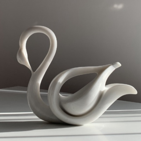 Swan of Light