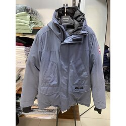 Canada goose