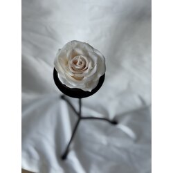 Classic White Rose Candle