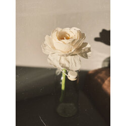 White Peony