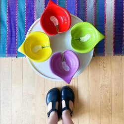 Anthurium Flower Ceramic Bowls 