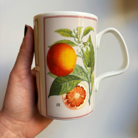 Botanical Mug from London National History Museum