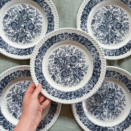 70’s Bleu Blanc Rustic Plates 