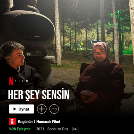 LOVEFLIX 21x30