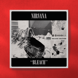 Nirvana Bleach