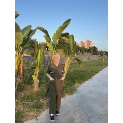 Haki yeşil soft licralı kısa kol 90 cm TAKIM 