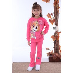 Paw Patrol Takım 