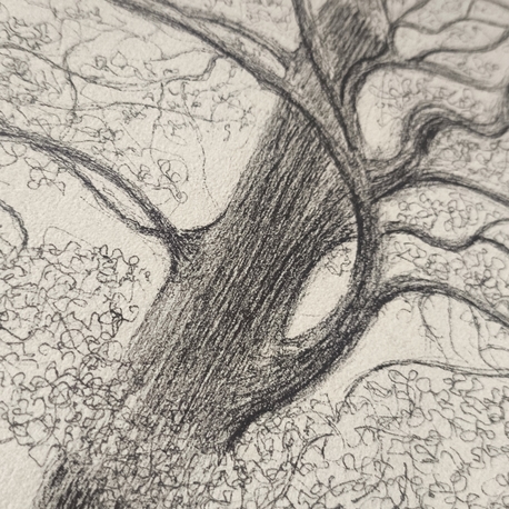 The Tree
