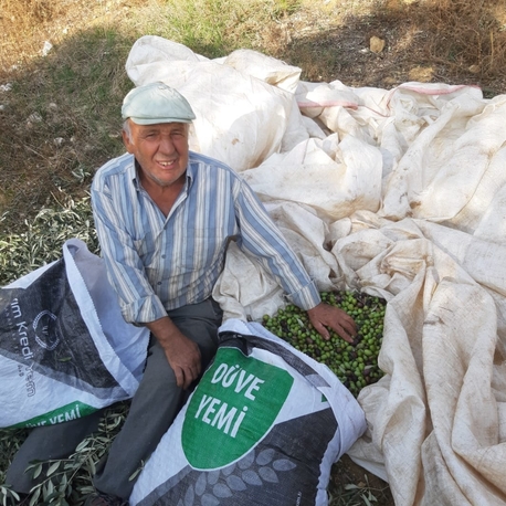 5 LİTRE TENEKEDE NATUREL SIZMA ZEYTİNYAĞI YENİ HASAT AYDIN DAĞ ZEYTİNYAĞI