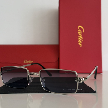 Cartier C4875 Gümüş Çerçeve 