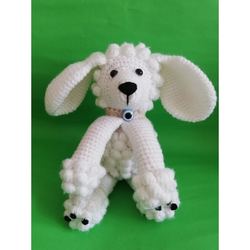 Sevimli Köpek