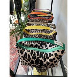 Multipurpose mini leo series