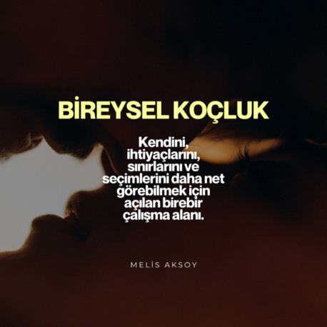 Bireysel Koçluk