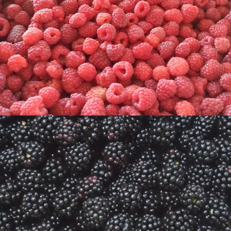 Berry Mix
