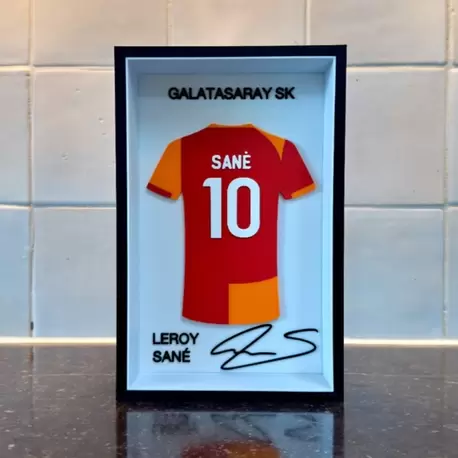 Sane Forma Çerçevesi