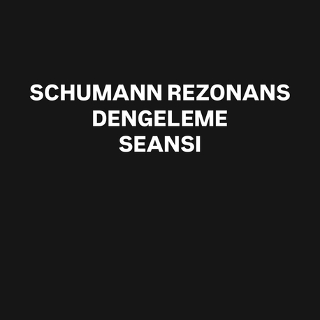 Schumann rezonans dengelenme seansı