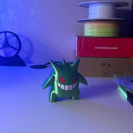 Pokemon Ganger