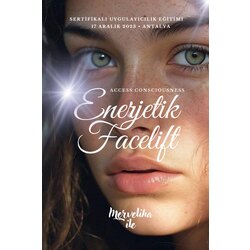 Access Facelift Eğitimi