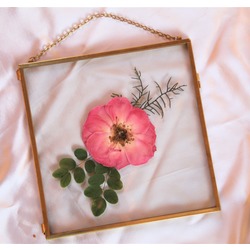 çerçevemiz 25x25 cm ,  malzeme cam ve pirinçten yapılmıştır.