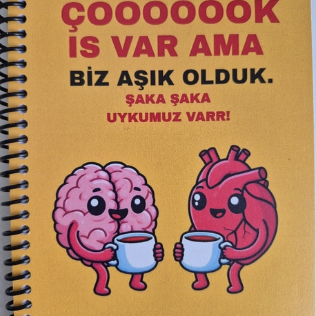 Biz Aşık Olduk- Defter