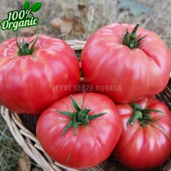 Pembe Domates 1 KG