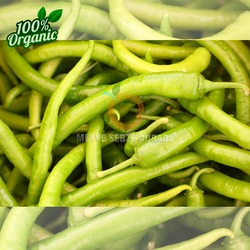 Sofralık Yeşil Biber 500 Gr