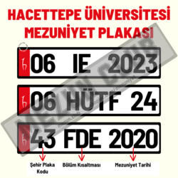 HACETTEPE ÜNİVERSİTESİ HATIRA DEKOR MEZUNİYET PLAKASI 
