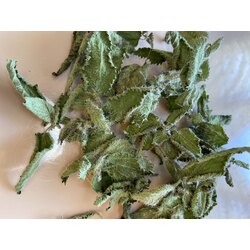 ısırgan kurusu 35 gr