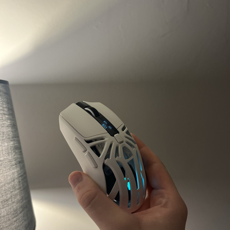 Aymes77 mouse 1000 hz