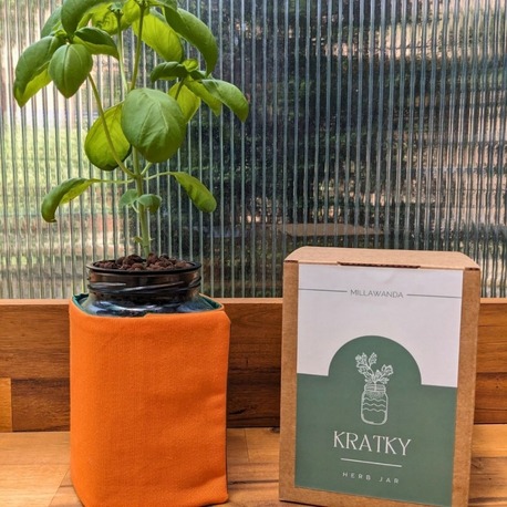 Millawanda Kratky Topraksız Mutfak Saksısı