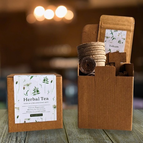 Wellness Herbal Tea Tohum Çimlendirme Seti