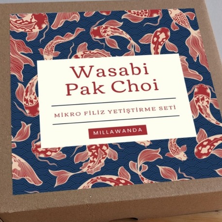 Pak Choi & Wasabi Mikro Filiz Yetiştirme Seti