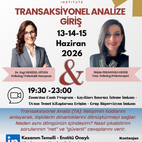 TRANSAKSİYONEL ANALİZE GİRİŞ