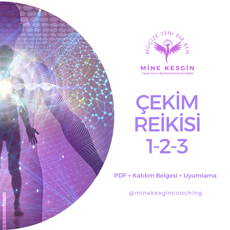 ÇEKİM REİKİSİ 1-2-3