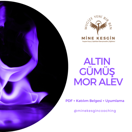 ALTIN GÜMÜŞ MOR ALEV