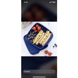 Tupperware 3 bölmeli saklama kabı 