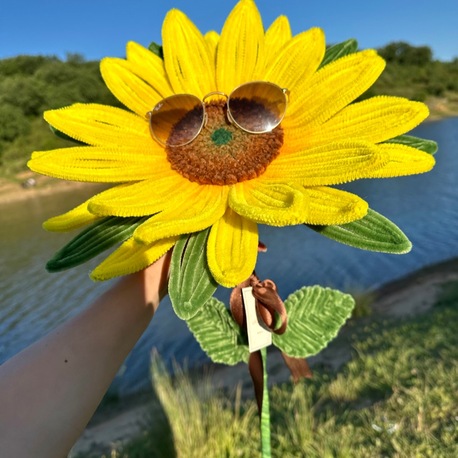 Mega Günebakan