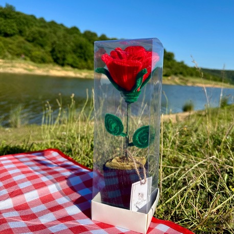Kutuda Köklü Aşk 