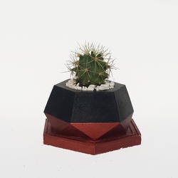 HEXA DARK BRONZ SAKSI VE ECHINOCACTUS - #css108