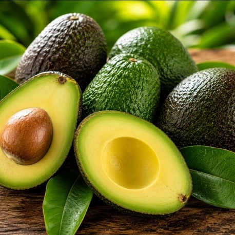 5 kilo avokado