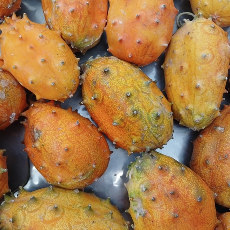 5 adet kiwano