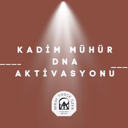 Kristal Tohum ve mühür Aktivasyonu 