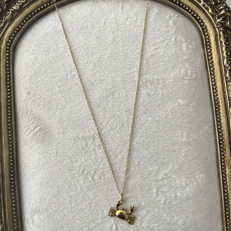 Yengeç Kolye (50+5 cm) | Çelik