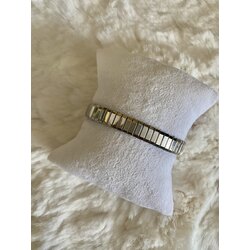 Silver nomination 