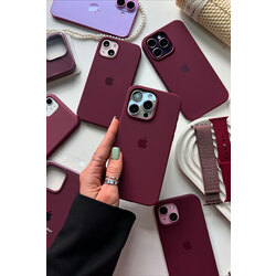 İPHONE VİŞNE LANSMAN