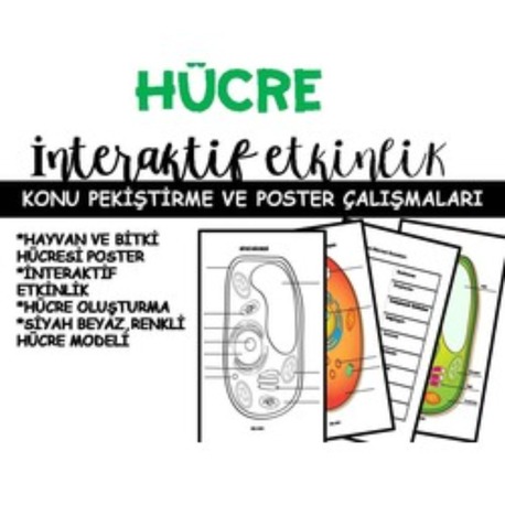 HÜCRE BÜYÜK DOSYA
