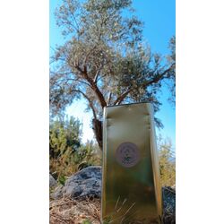 Zeytinyağı (Bahçeden) 5 lt