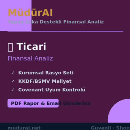 MüdürAI — Ticari Finansal Analizi
