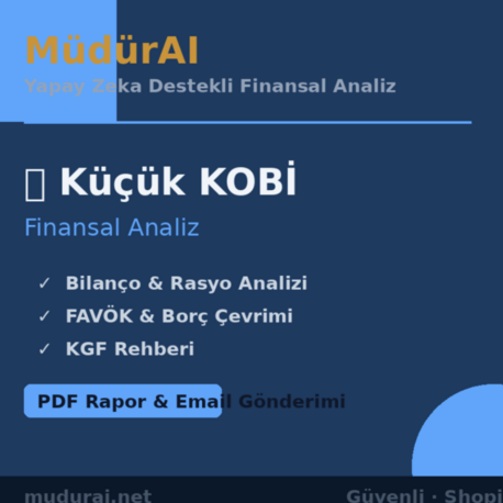 MüdürAI — Küçük KOBİ Finansal Analizi